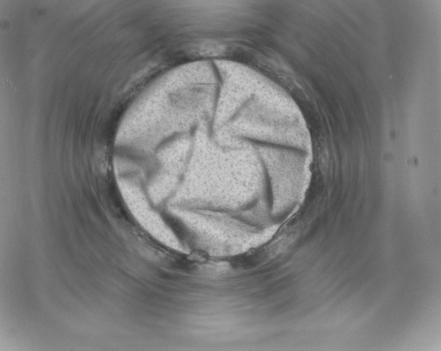 X0000077320374200611171748