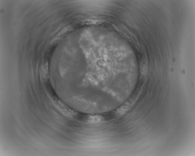 X0000077320376200611171748