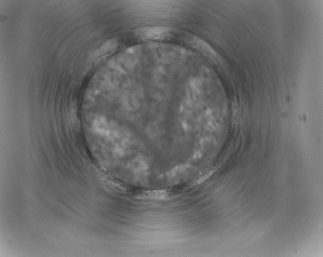 X0000077320377200611171748