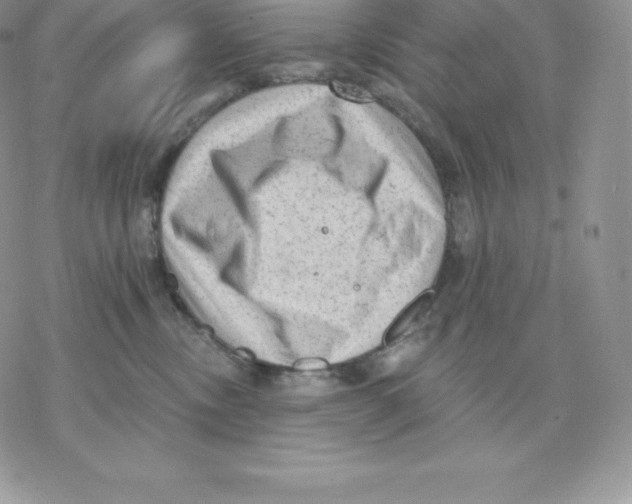 X0000077320378200611171748