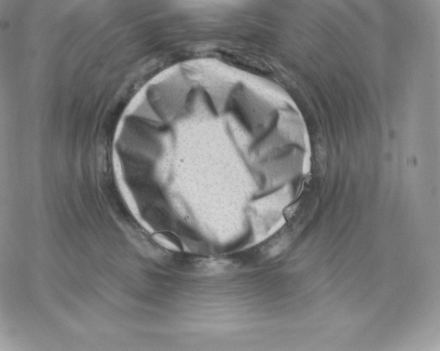 X0000077320379200611171748