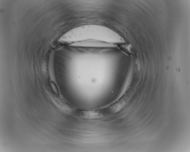 X0000077320380200611171748