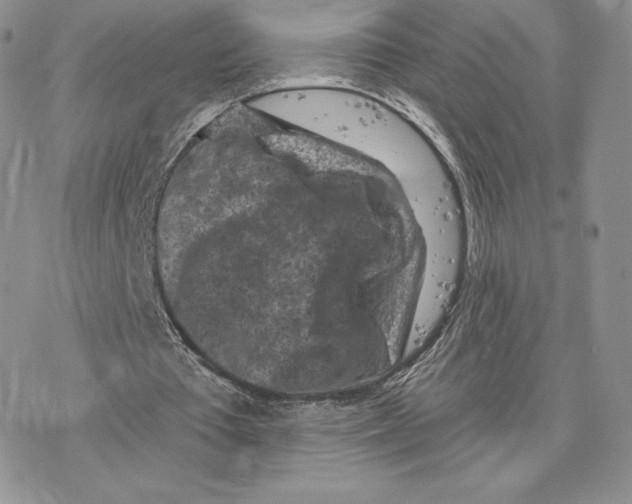 X0000077320385200611171748