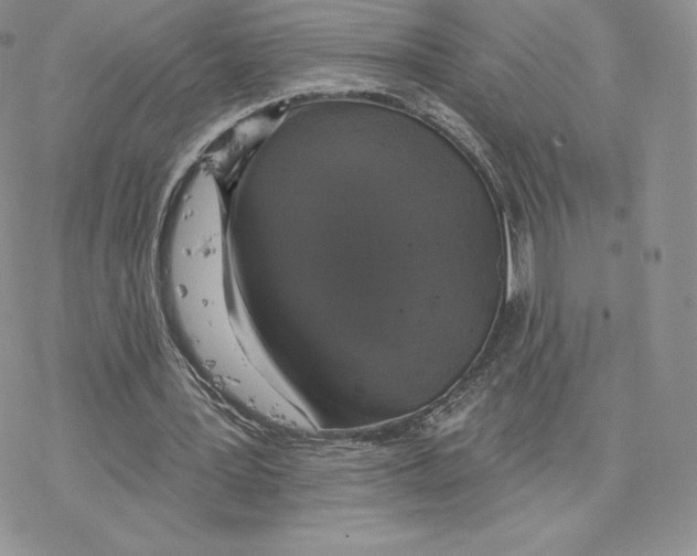 X0000077320387200611171748