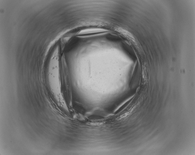 X0000077320388200611171748