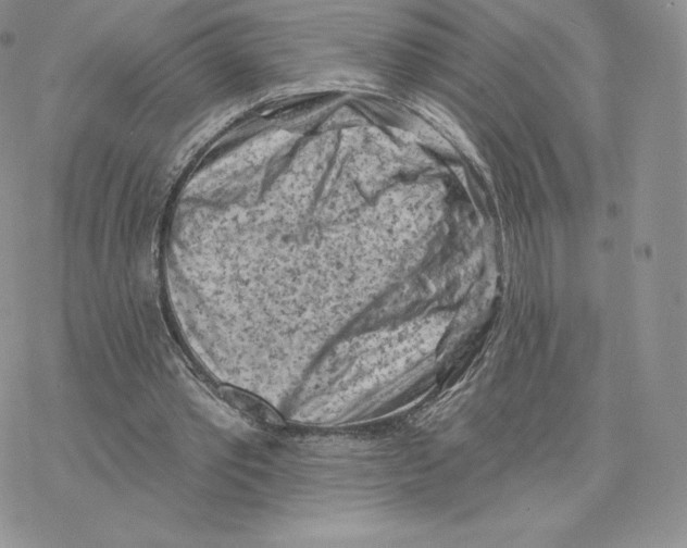 X0000077320389200611171748