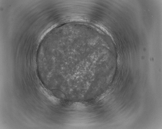 X0000077320390200611171748