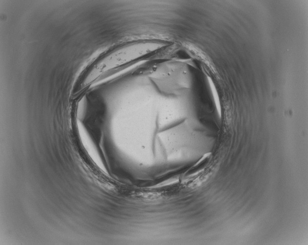 X0000077320395200611171747