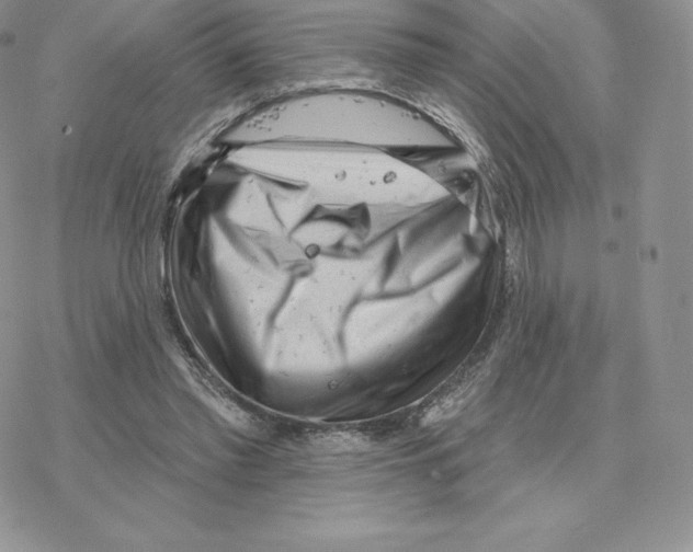 X0000077320397200611171747