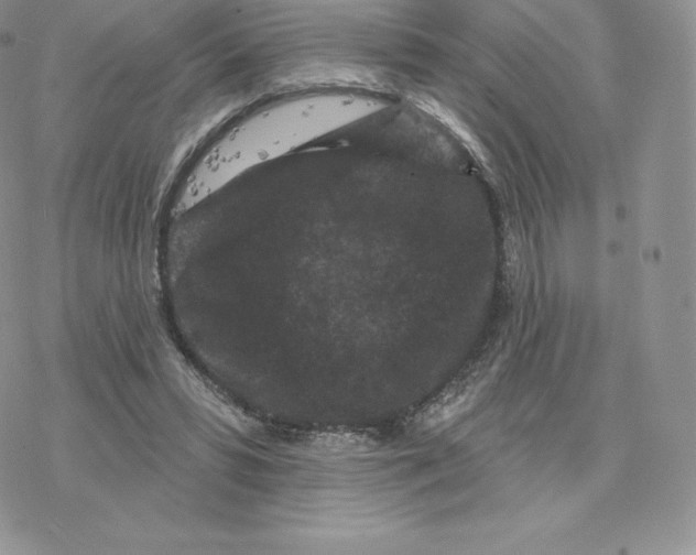 X0000077320399200611171747