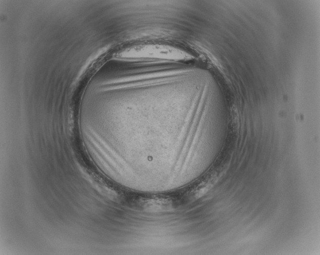 X0000077320400200611171747