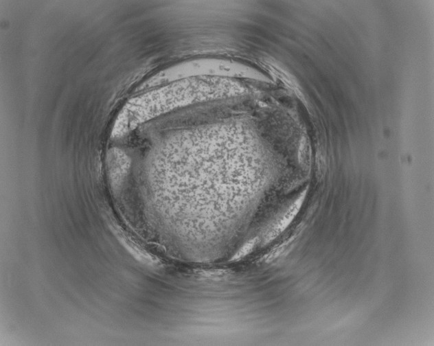 X0000077320401200611171747