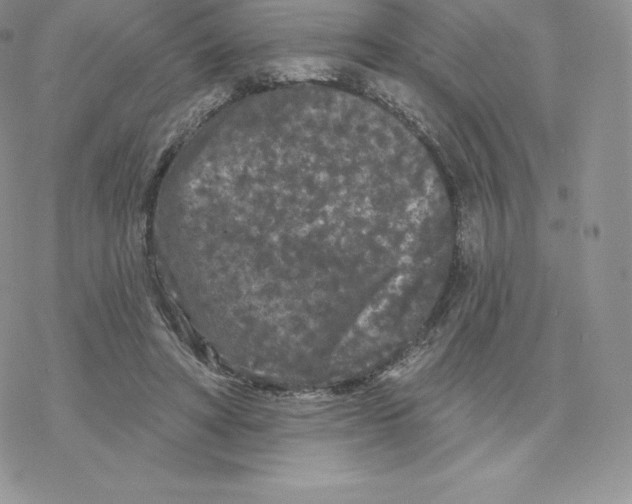 X0000077320402200611171747