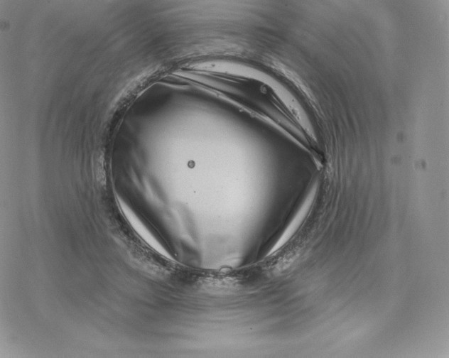 X0000077320403200611171747