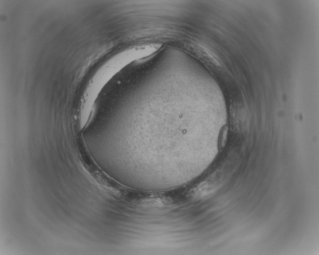 X0000077320404200611171747