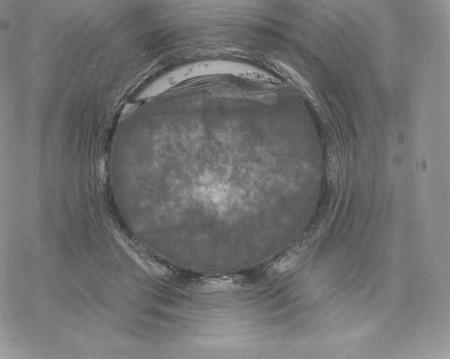 X0000077320405200611171747