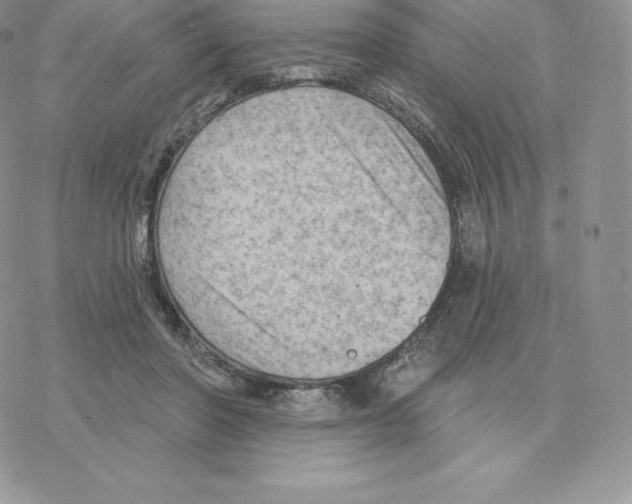 X0000077320406200611171747