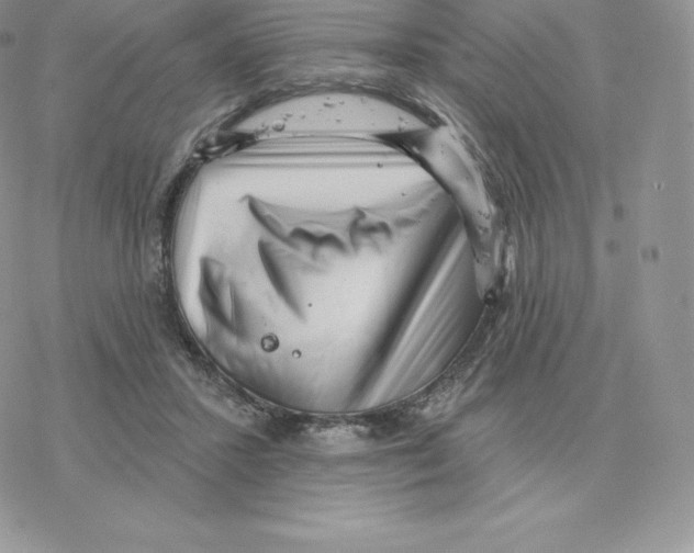 X0000077320407200611171747