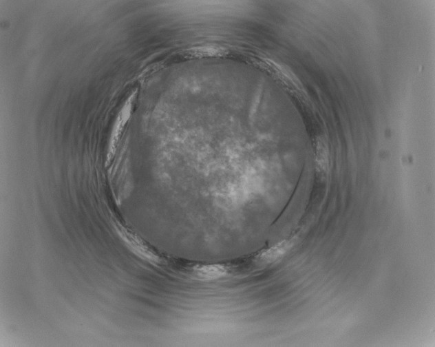 X0000077320409200611171747