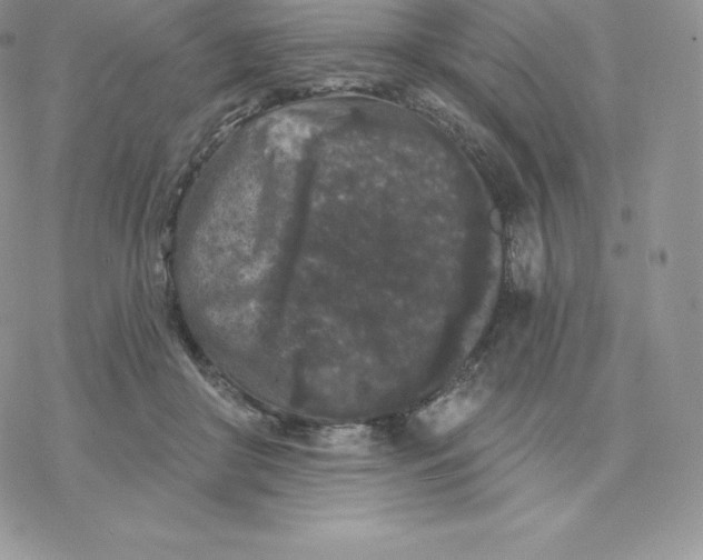 X0000077320410200611171747