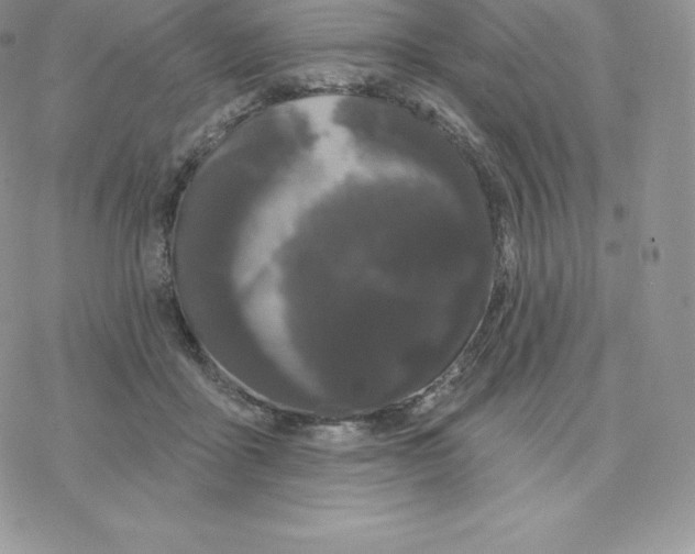 X0000077320411200611171747