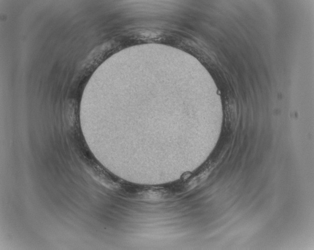 X0000077320412200611171747