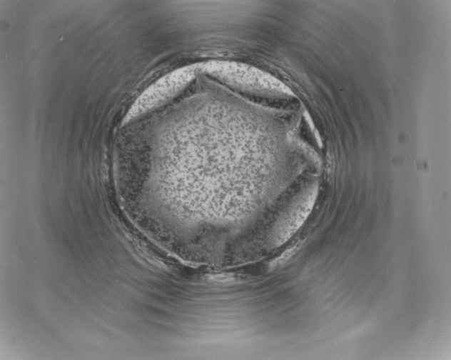 X0000077320413200611171747