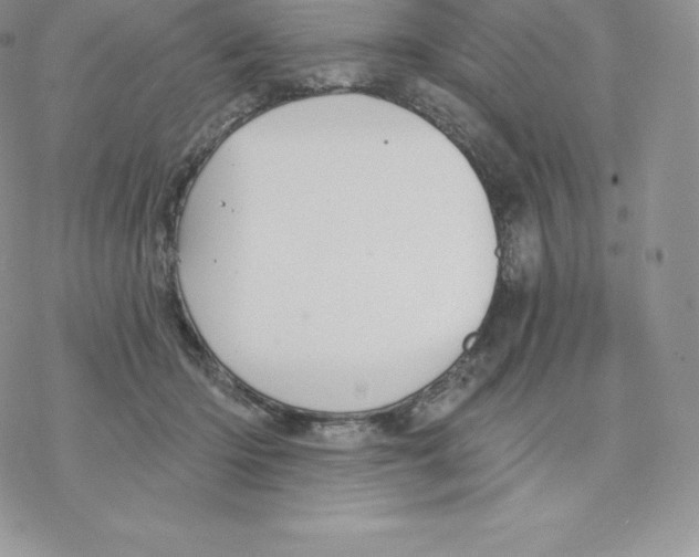 X0000077320414200611171747