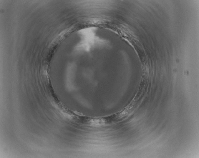 X0000077320415200611171747