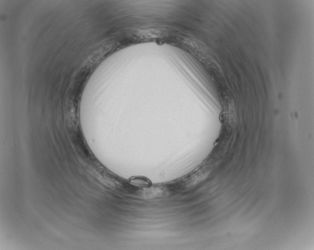 X0000077320418200611171747