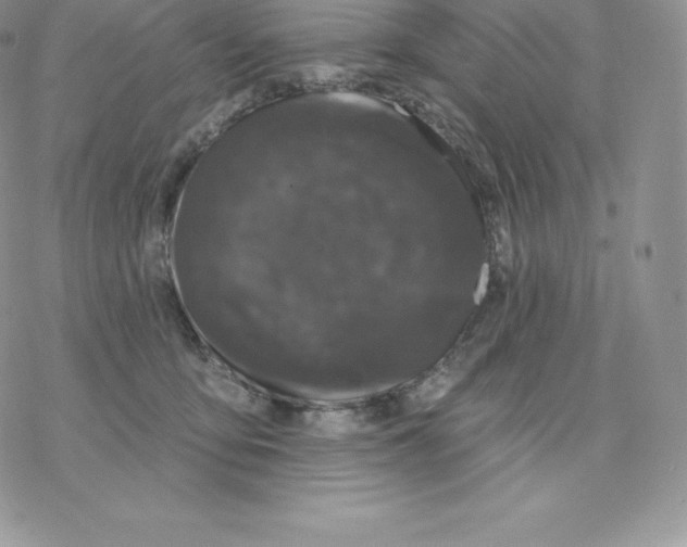 X0000077320419200611171747