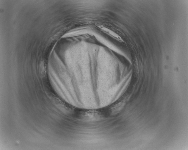 X0000077320420200611171747