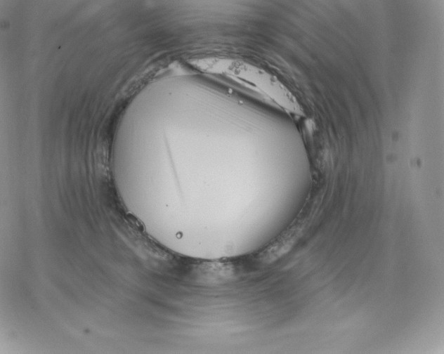 X0000077320421200611171747