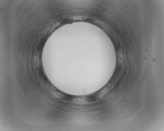 X0000077320422200611171747