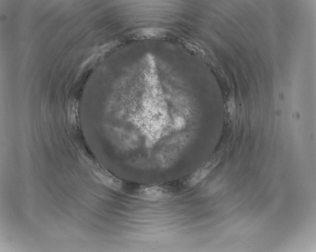 X0000077320423200611171747