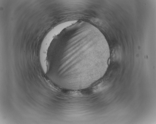 X0000077320424200611171747