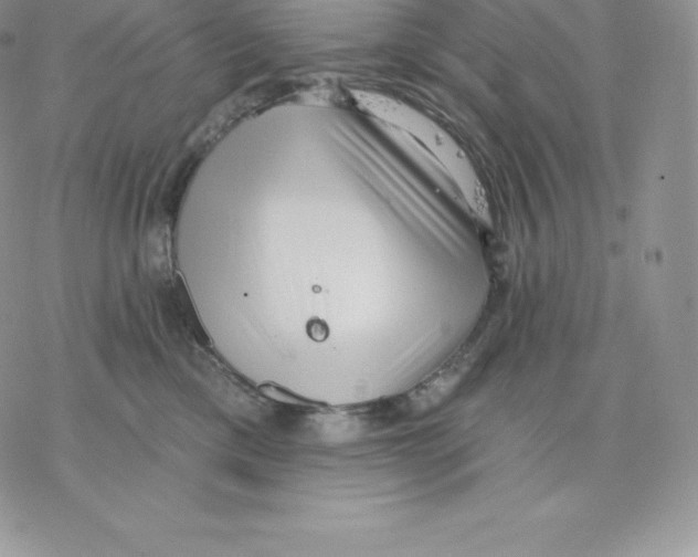 X0000077320425200611171747