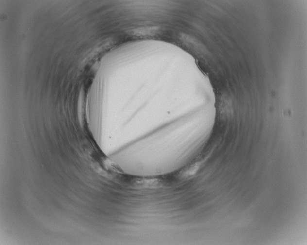 X0000077320428200611171747