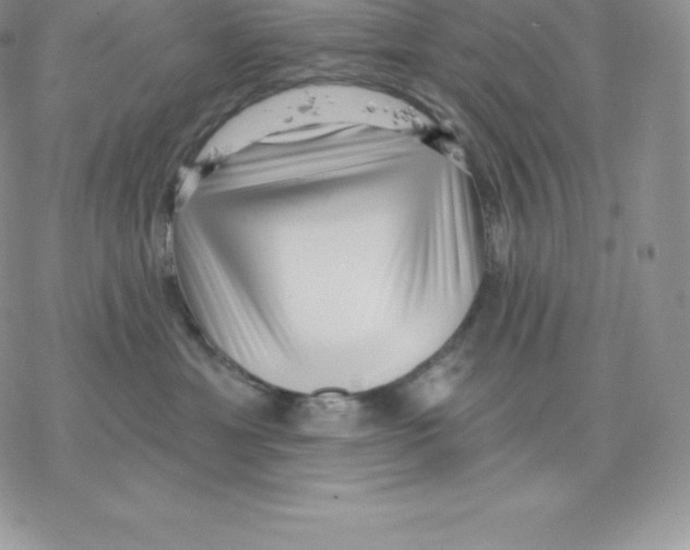 X0000077320429200611171747