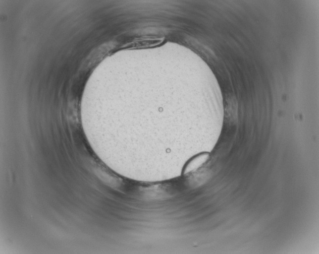 X0000077320430200611171747