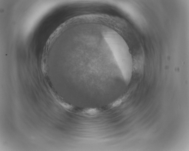 X0000077320431200611171747