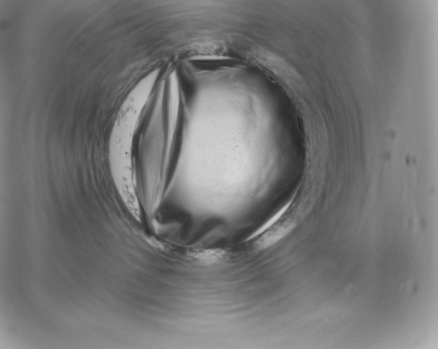 X0000077320432200611171747