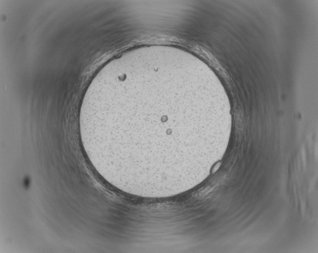 X0000077320433200611171746