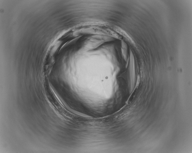 X0000077320436200611171746