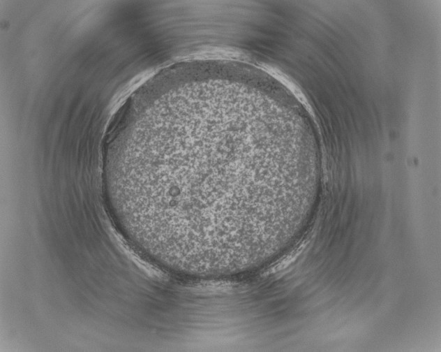 X0000077320437200611171746