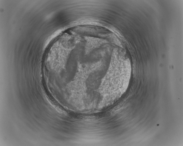 X0000077320438200611171746