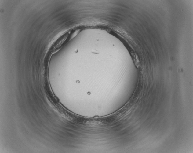 X0000077320440200611171746