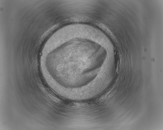 X0000077320442200611171746