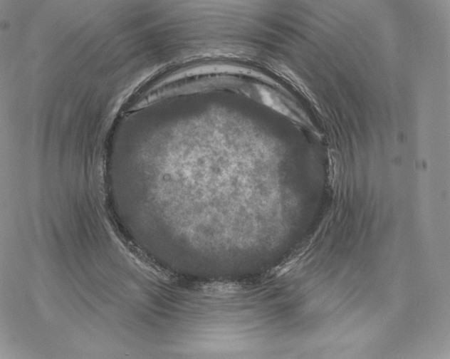 X0000077320444200611171746