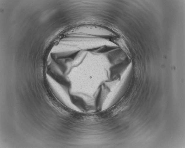 X0000077320446200611171746